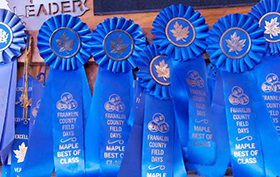 Farm Family Gambles It Can Switch to Maple