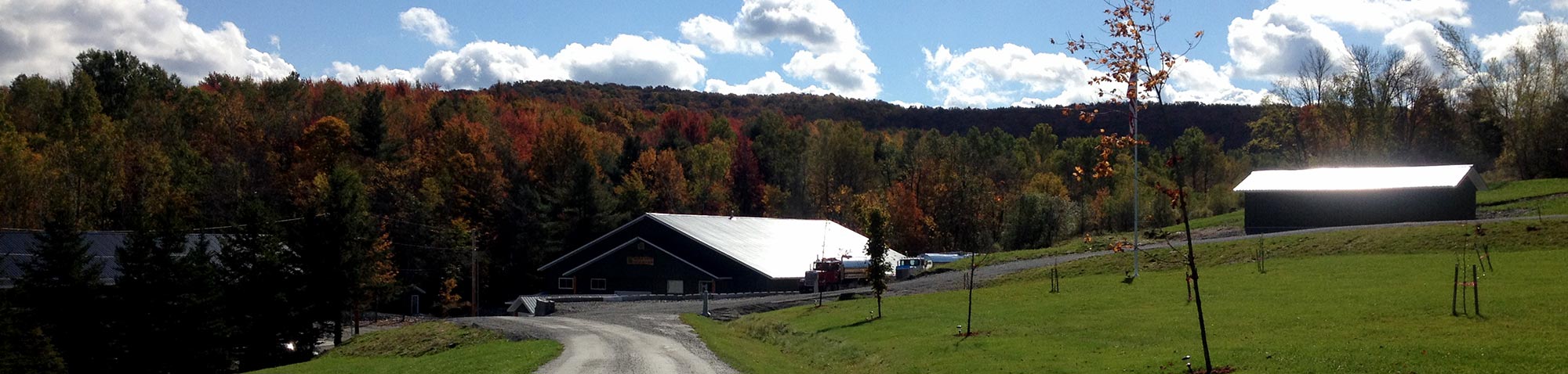 Welcome to Branon Family Maple Orchards